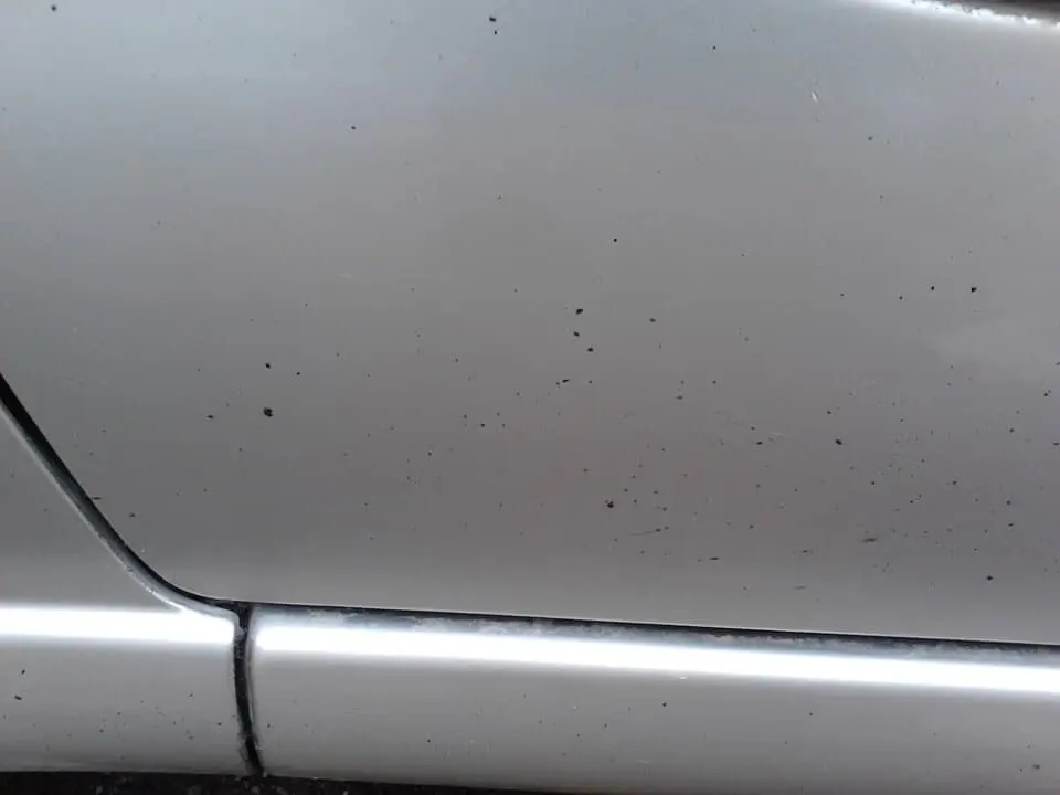 Битум загрязнение