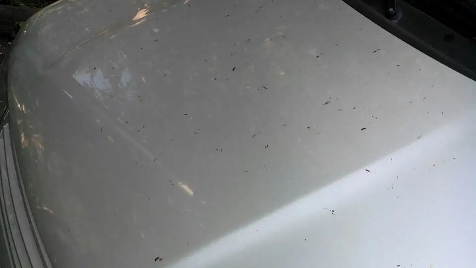 Загрязнение кузова