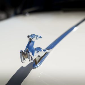 Семинар SOFT99