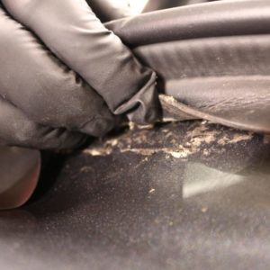 Детейлинг Audi