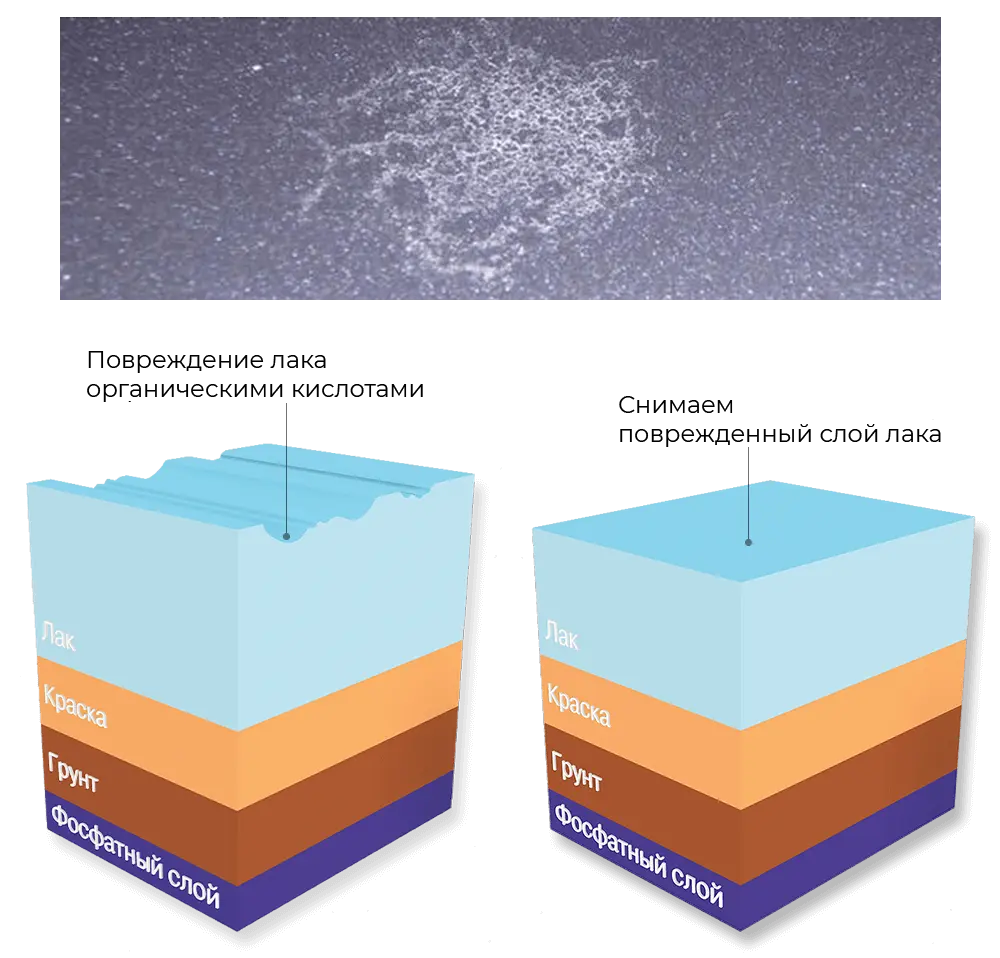 Ожог ЛКП: фото и схема