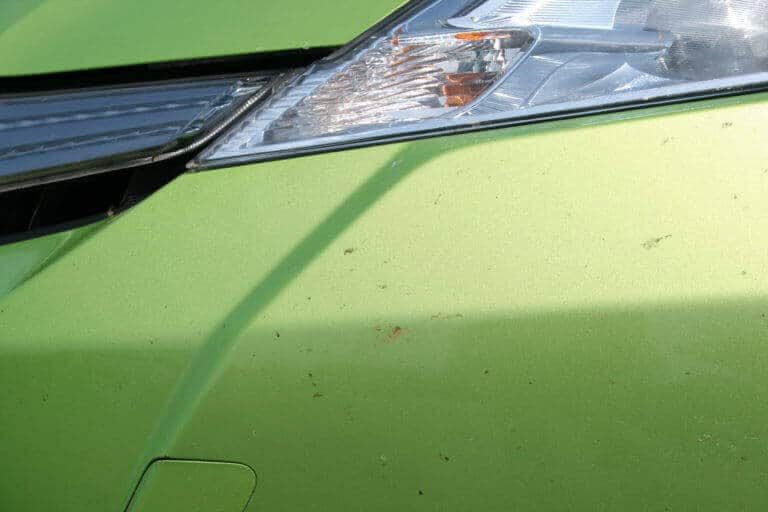 Налипшая мошка