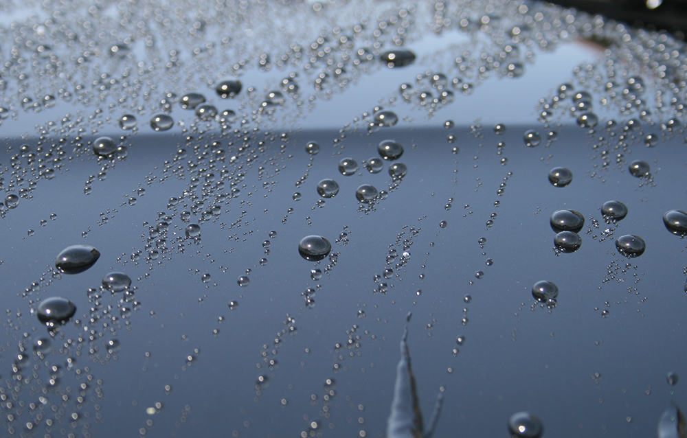 Капли на покрытой воском поверхности