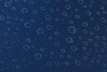 Отложения водного камня